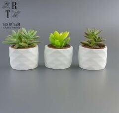 Beton Saksılı Sukulent Seti (3’lü) – Beyaz | Modern & Minimal Dekor Seti