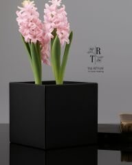 15×15×15 cm Beton Saksı | Modern Tasarım | Farklı Renk Seçenekleri