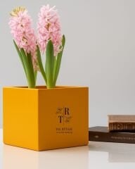 15×15×15 cm Beton Saksı | Modern Tasarım | Farklı Renk Seçenekleri