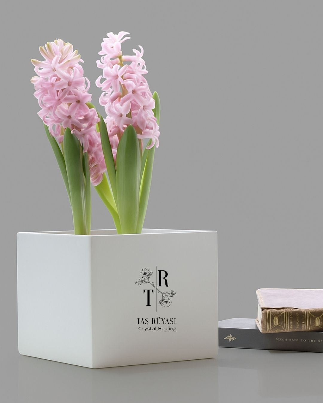 15×15×15 cm Beton Saksı | Modern Tasarım | Farklı Renk Seçenekleri