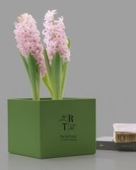 15×15×15 cm Beton Saksı | Modern Tasarım | Farklı Renk Seçenekleri