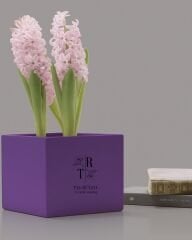 15×15×15 cm Beton Saksı | Modern Tasarım | Farklı Renk Seçenekleri