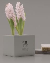 15×15×15 cm Beton Saksı | Modern Tasarım | Farklı Renk Seçenekleri