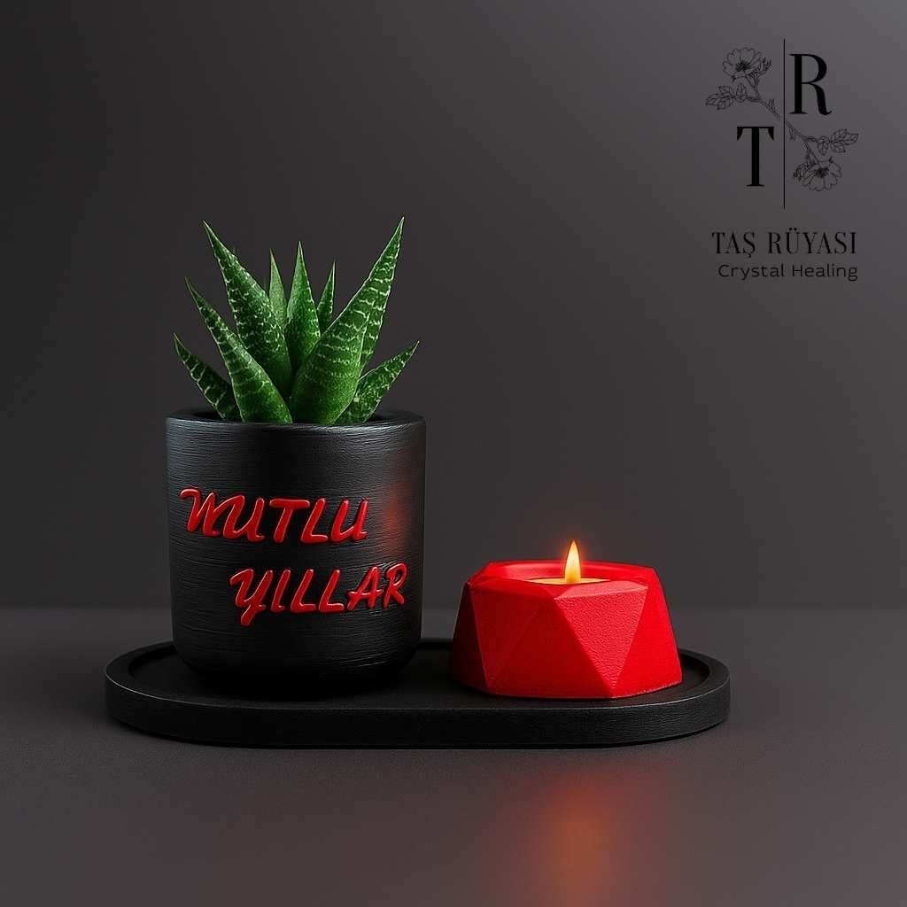Sukulent Tealight Mumluk Hediye Seti