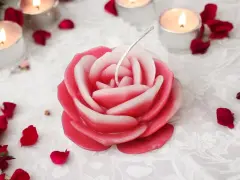 Büyük Pembe Beyaz Gül Mum Fitilli