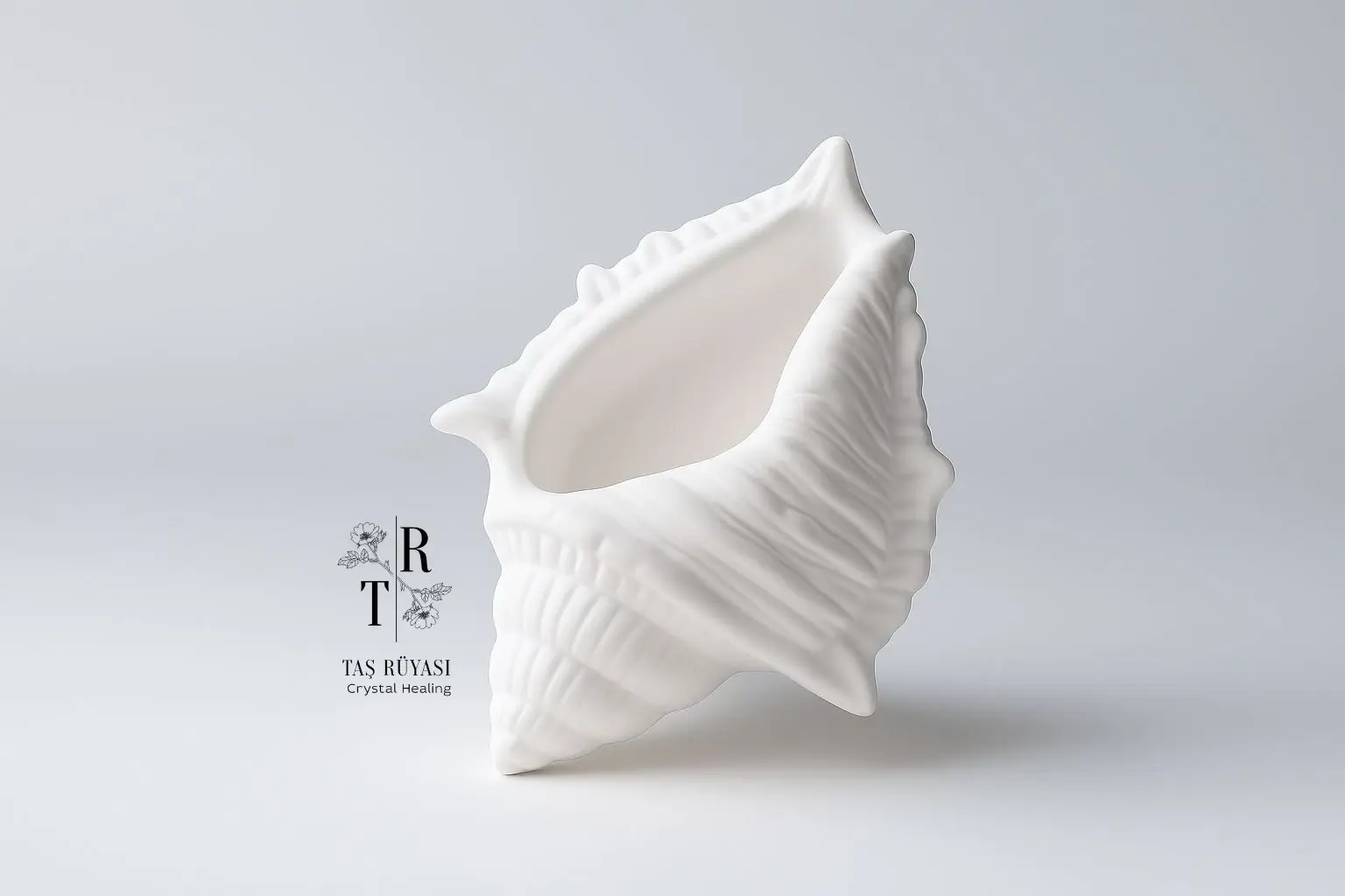 Beyaz Deniz Kabuğu Şeklinde Dekoratif Mumluk - 17,1 x 12,1 cm