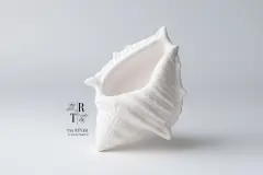 Beyaz Deniz Kabuğu Şeklinde Dekoratif Mumluk - 17,1 x 12,1 cm