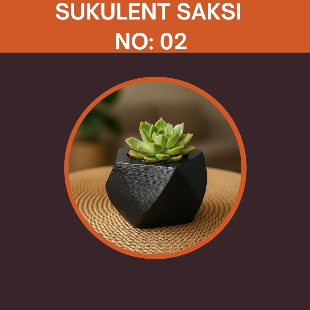 Sukulent Set Organizasyon Hediyeliği No: 2