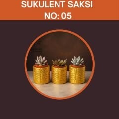 Sukulent Set Organizasyon Hediyeliği No: 5