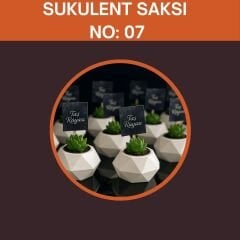 Sukulent Set Organizasyon Hediyeliği No:07