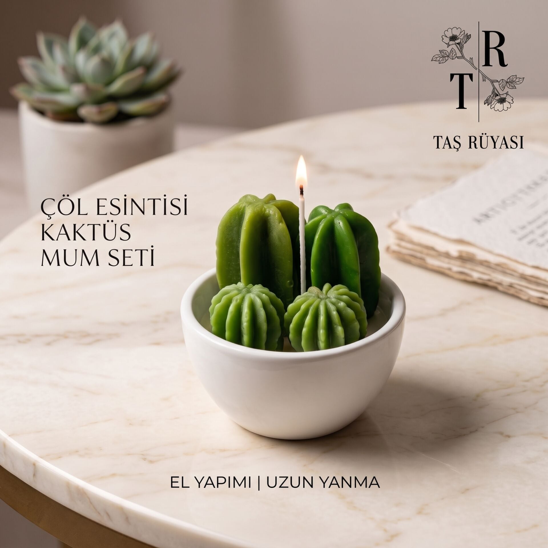 Kaktüs Mum Aranjman-Çöl Esintisi