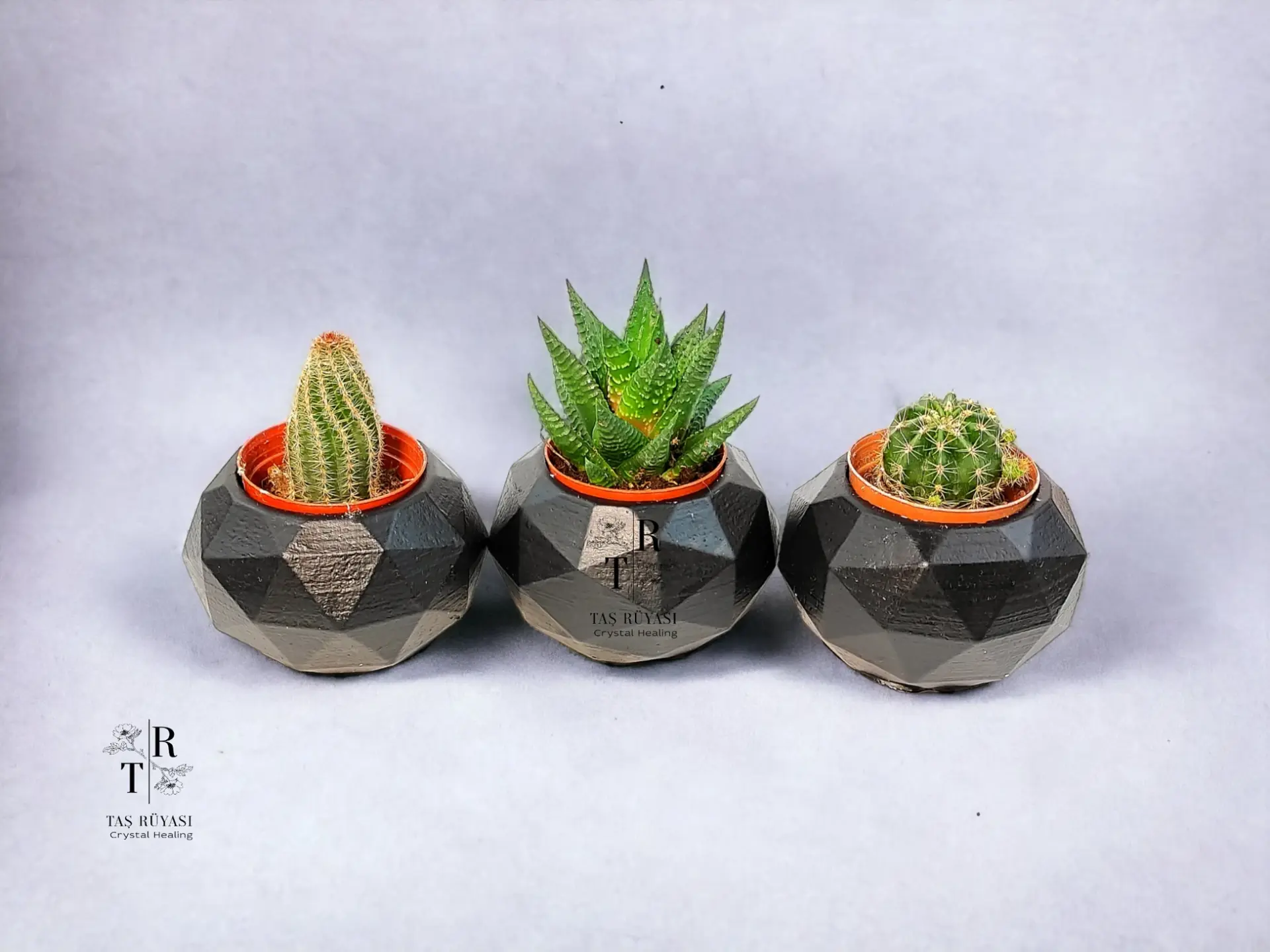 3'lü Beton Saksılı Kaktüs Set