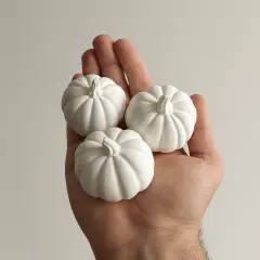 3'lü Ham Balkabağı Obje