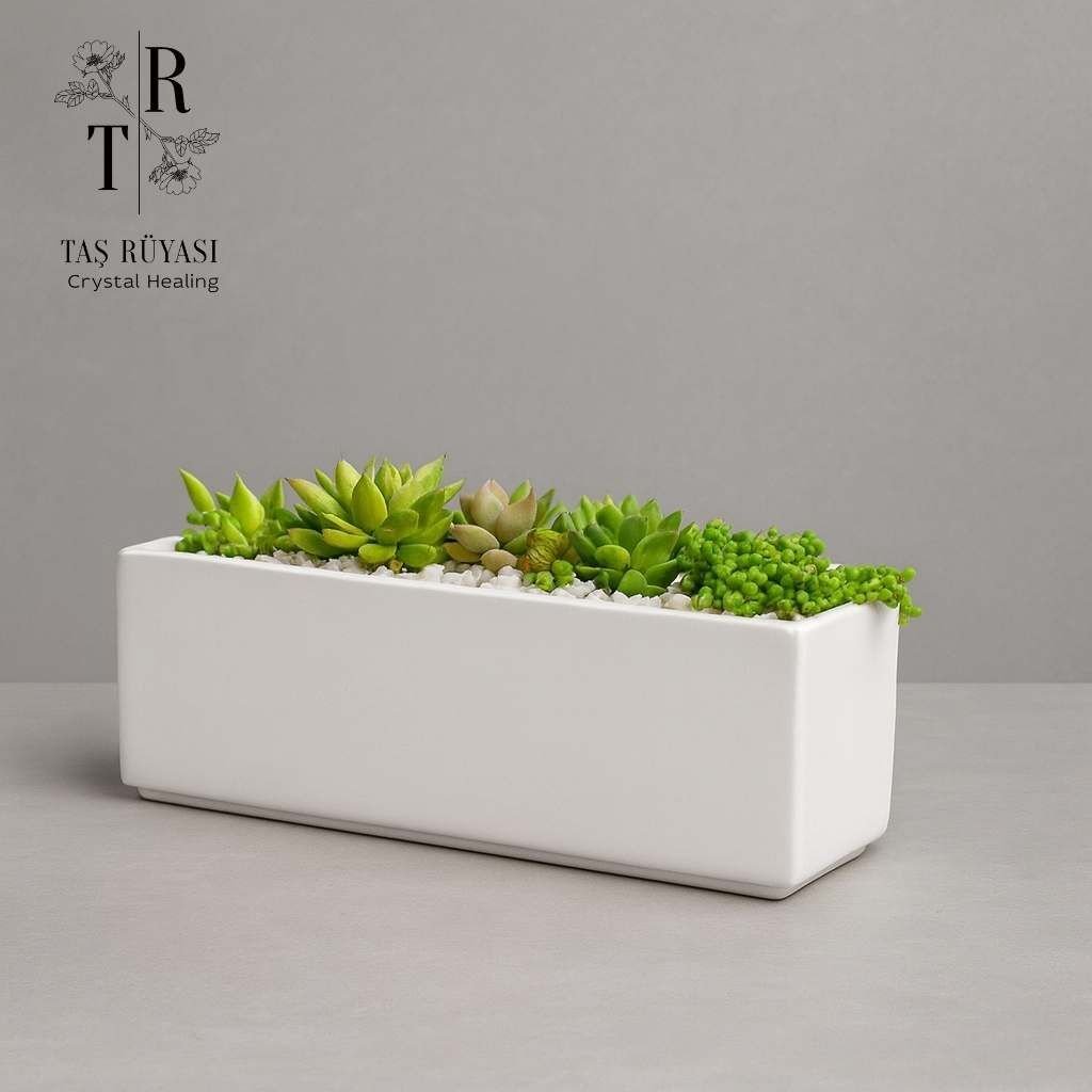 Dikdörtgen Aranjman Saksı | 30×10×10 cm | Modern & Çok Amaçlı Tasarım