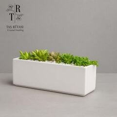 Dikdörtgen Aranjman Saksı | 30×10×10 cm | Modern & Çok Amaçlı Tasarım