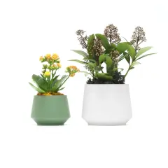 Modern Beton Saksı – Büyük Boy | Minimal & Dayanıklı Tasarım